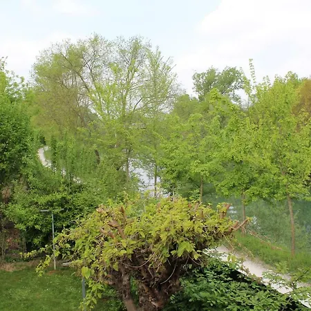 Il