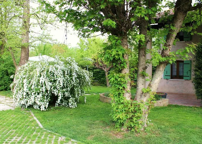 فيلة Il
